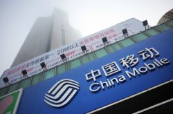 (使用手册)新乡单位电话_哔哩哔哩-3